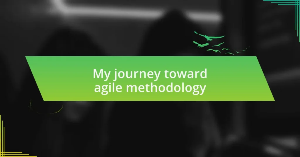 My journey toward agile methodology